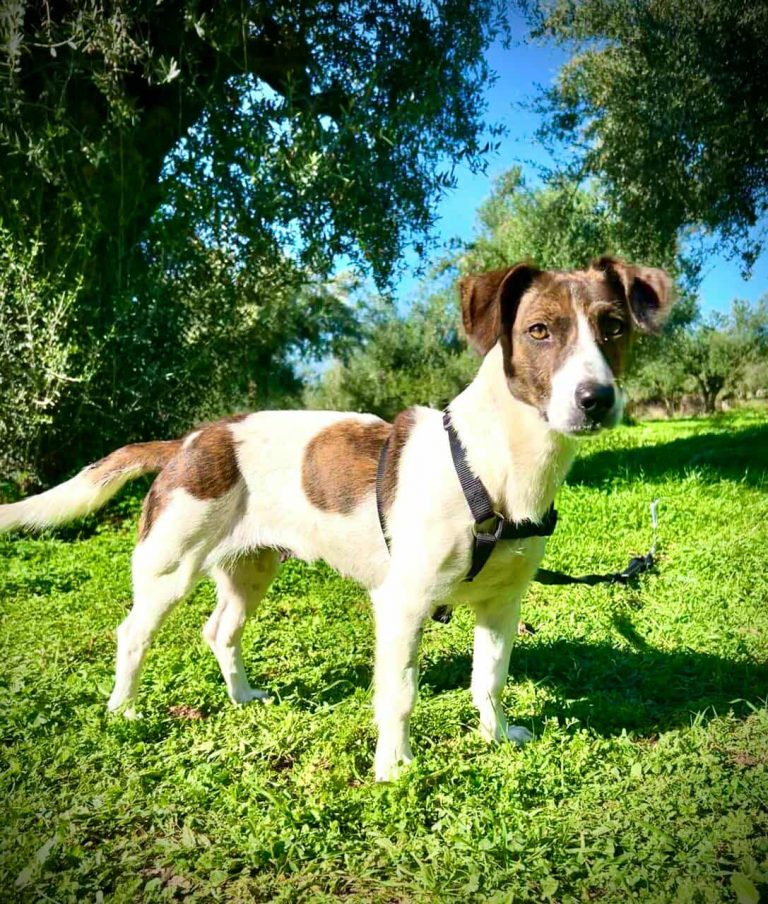 582150685_1398180315310865_1752558813903705173_n