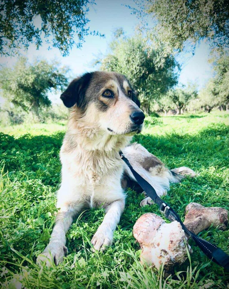 582246654_1983273682457430_4867446181102045334_n