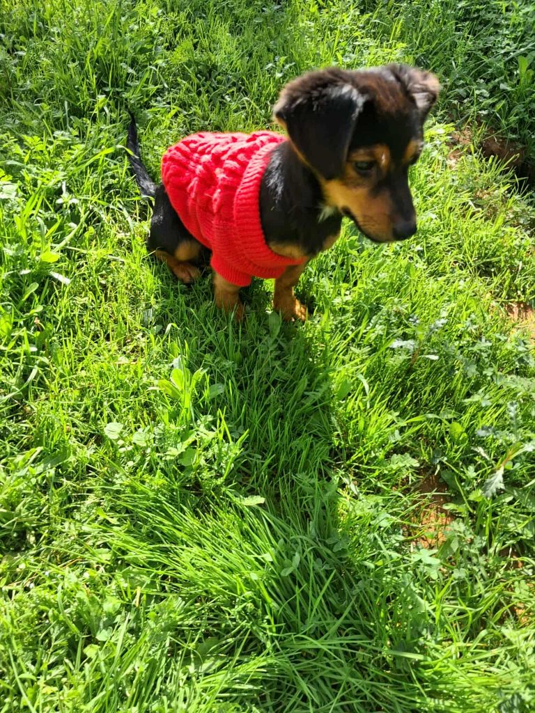 582270481_3736675486636398_5312963552697929660_n