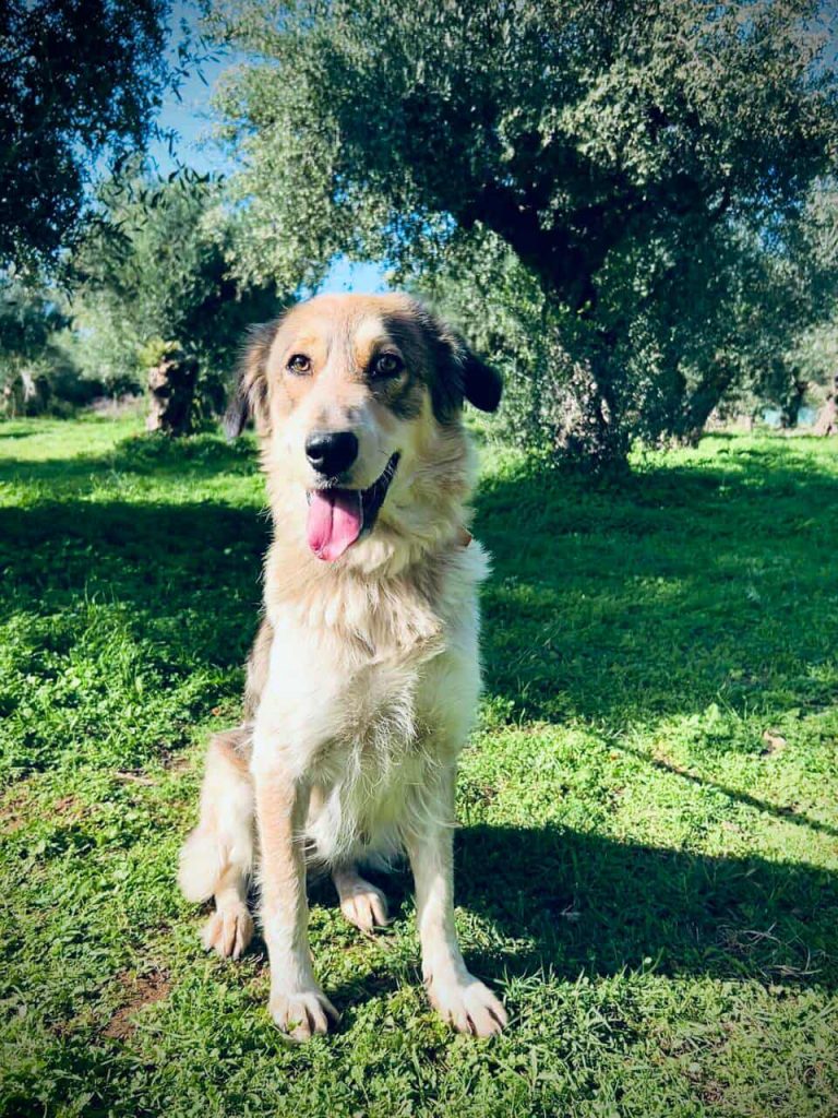 582399507_1466000637794075_3198348708494291972_n