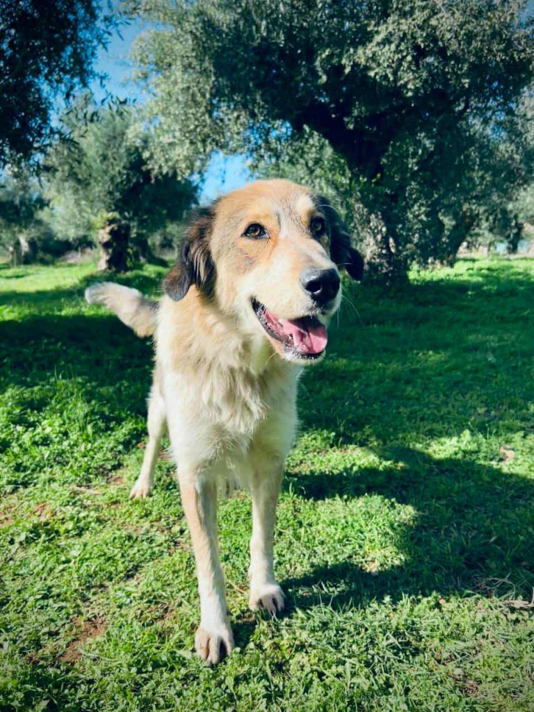 582429159_1923078038242622_8254799264322258988_n