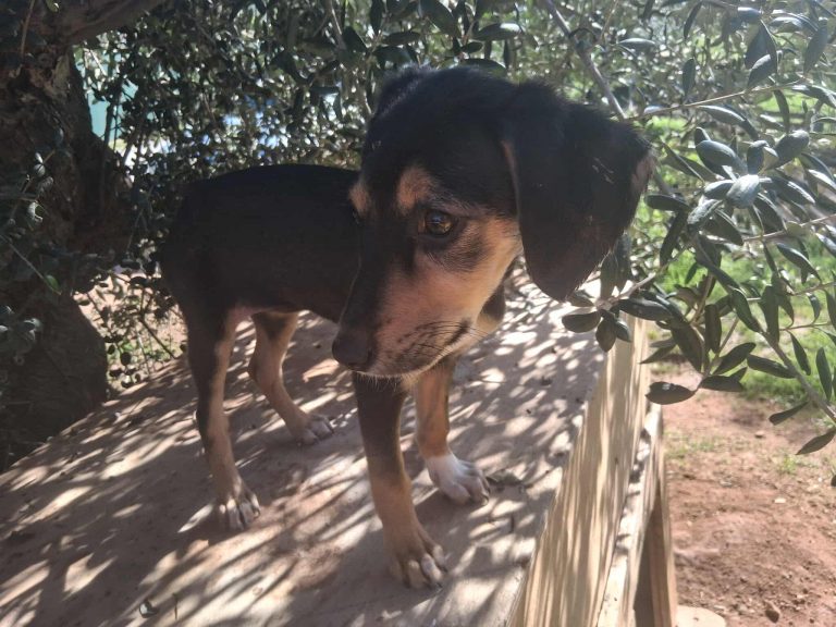 582540457_814673767843036_2137340687148341643_n