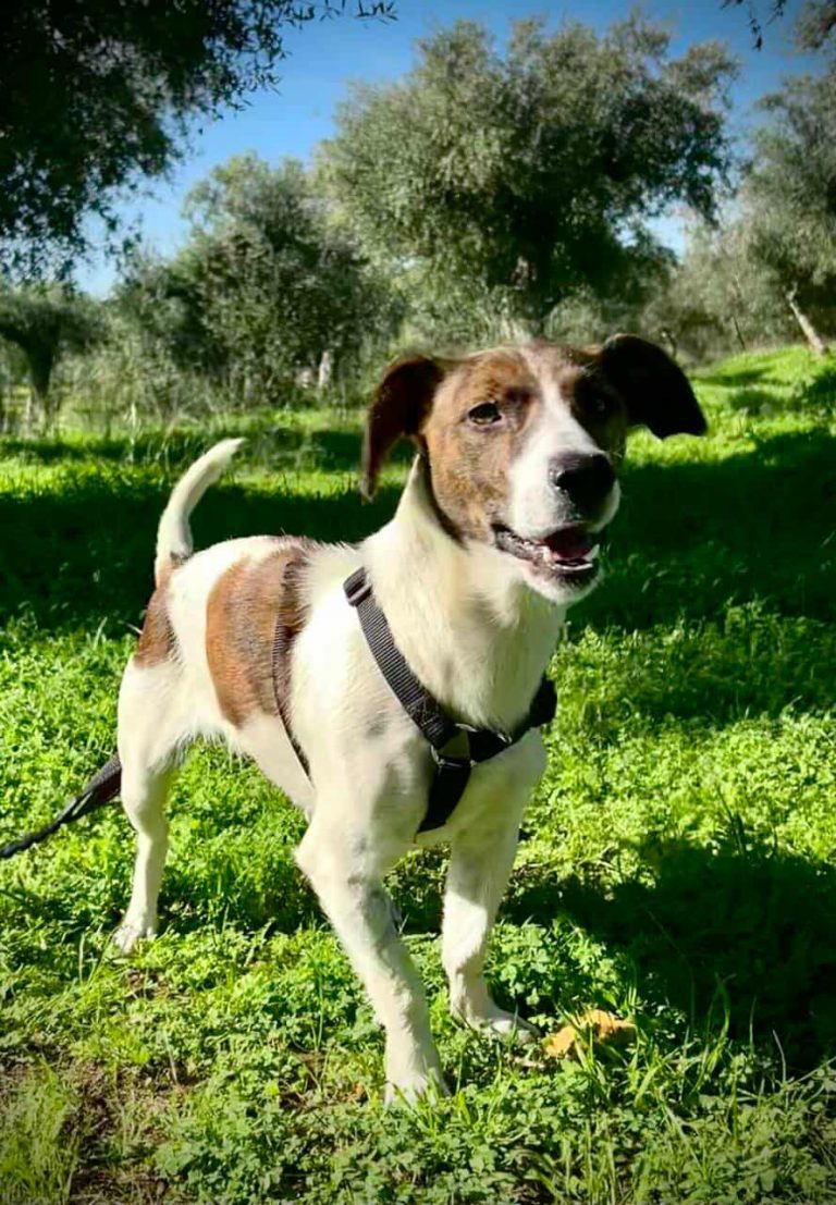 582550957_2607160146301328_2555147136719485658_n