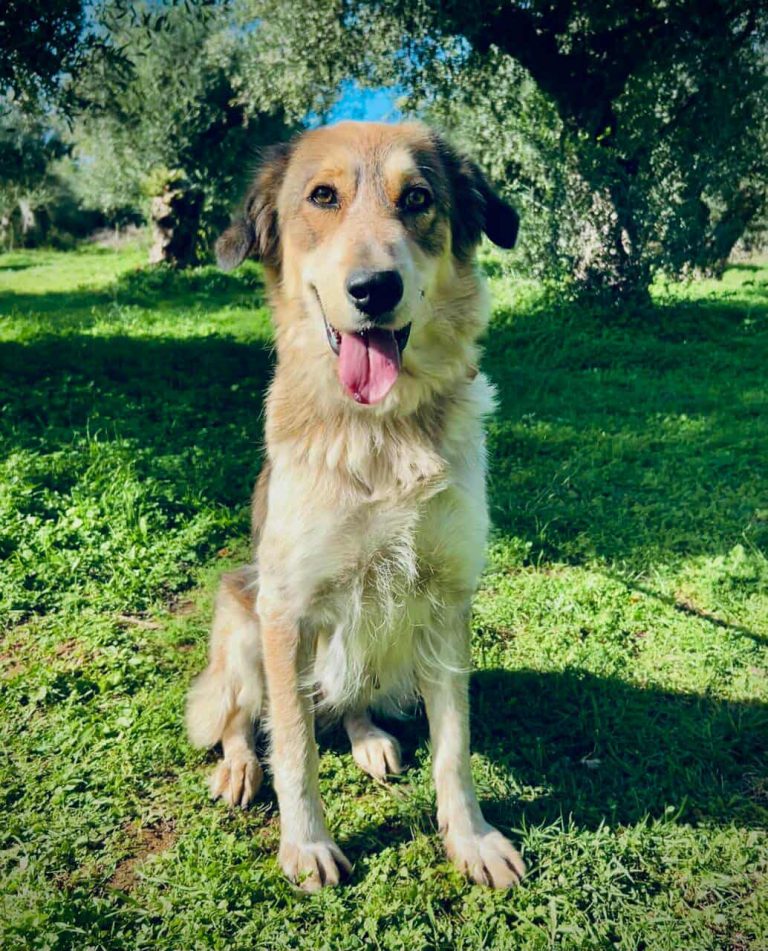 582605209_2335445850221308_1498647435140876653_n