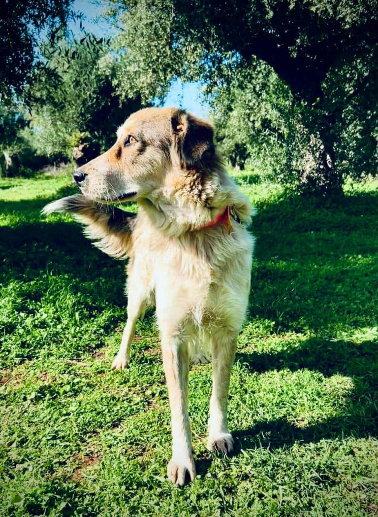 582649662_1364171071841392_598584310066619230_n