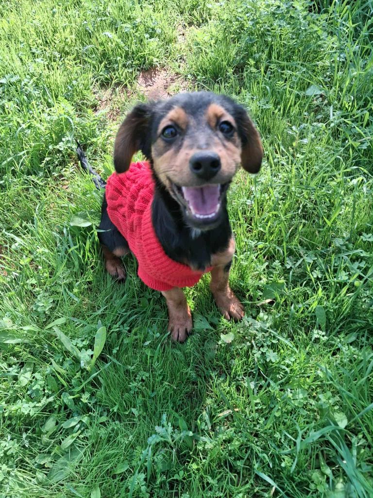 582745215_1558991531760529_4620262750384221574_n