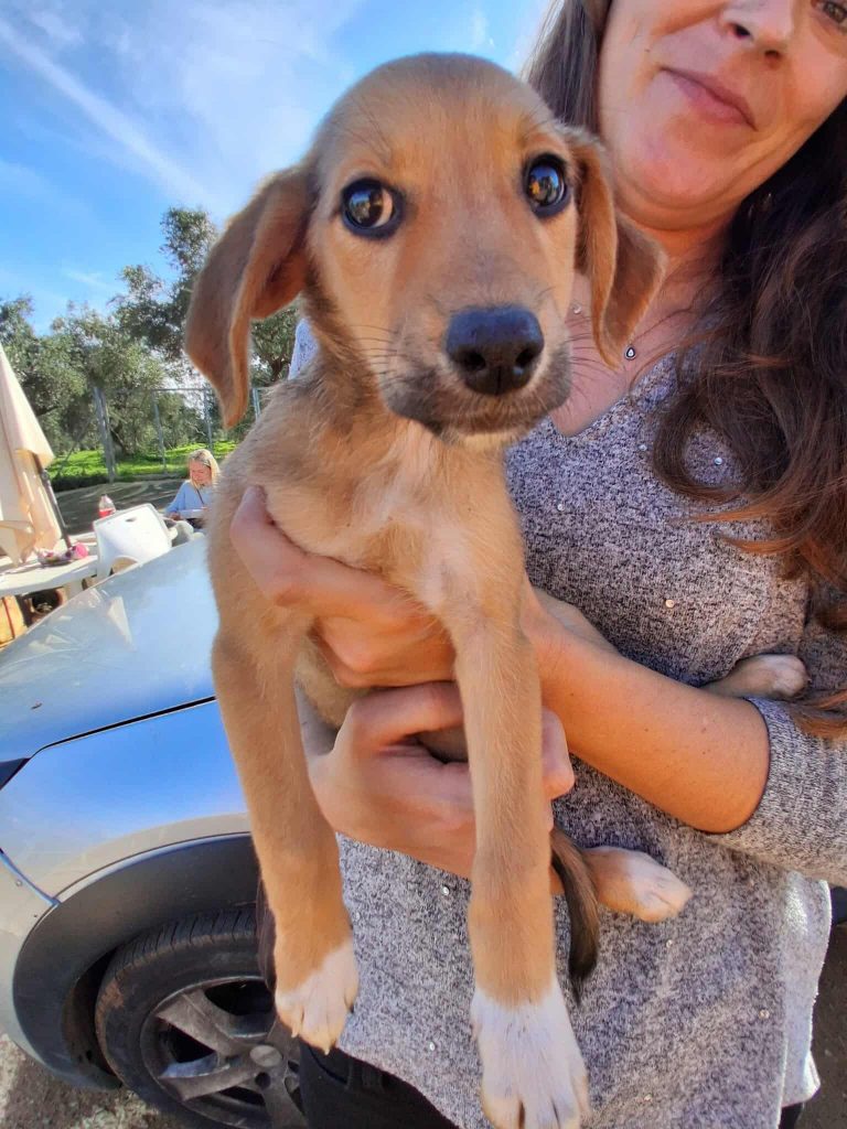 582985931_1124069589713160_1667641742878944881_n