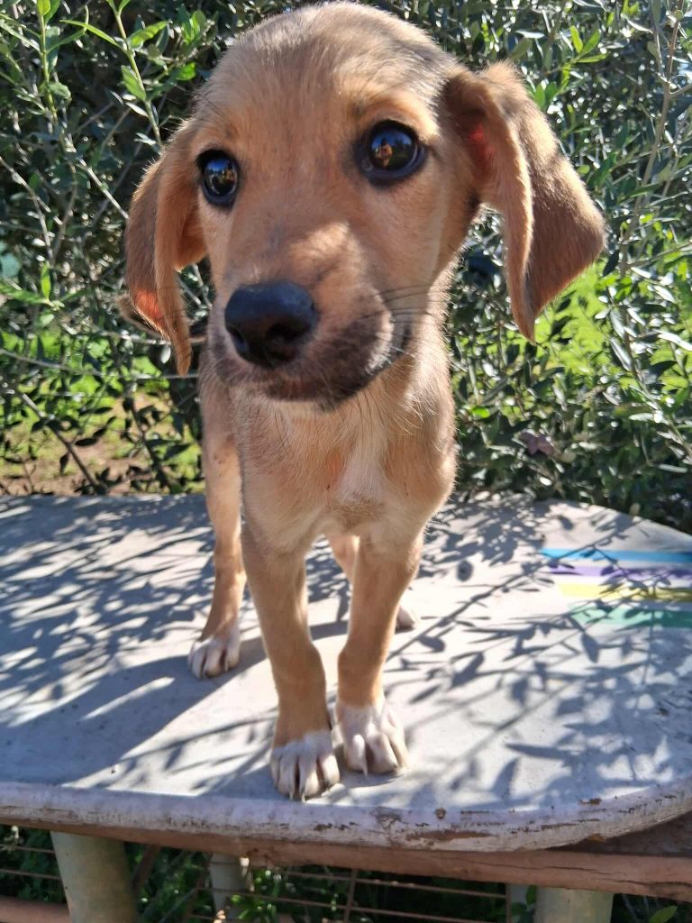 582991170_1896158031276628_1026017485878127931_n