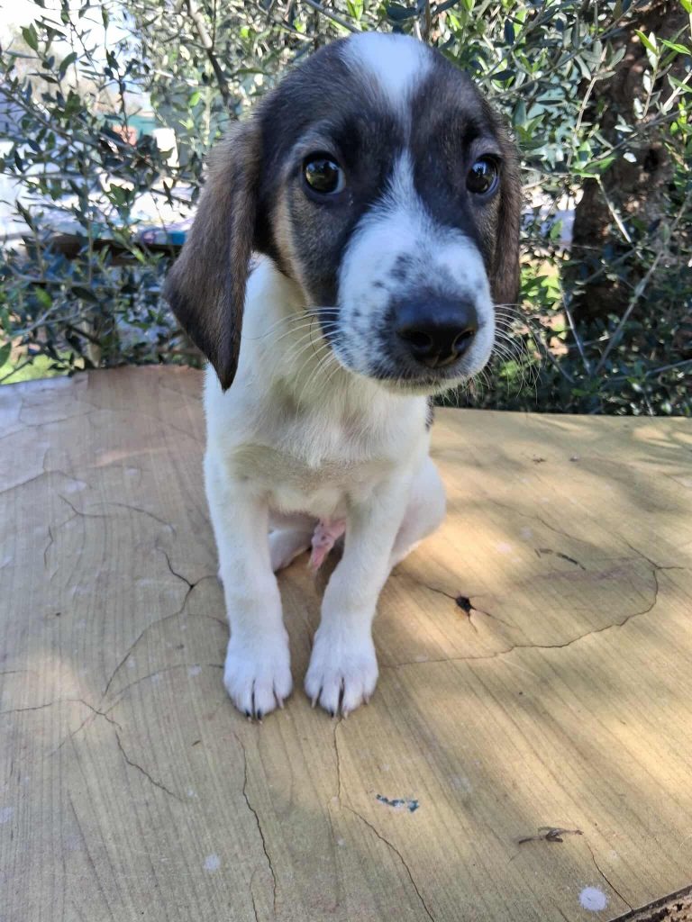 583096481_844165685235863_7910890032737788239_n