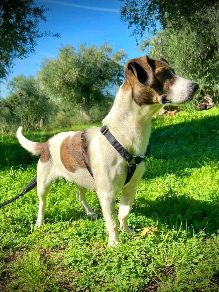 583167214_3387120864797551_4411215988738241402_n