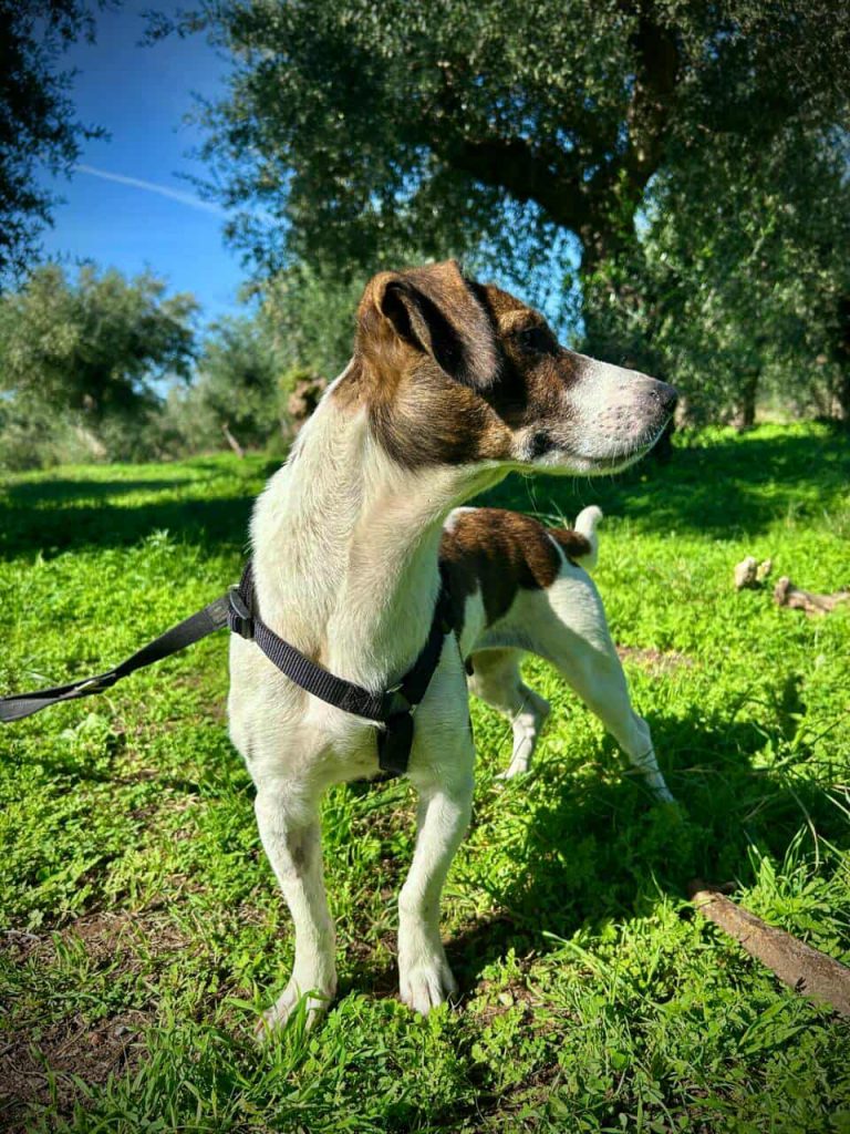 584163714_1306976111448848_6898612153468395625_n