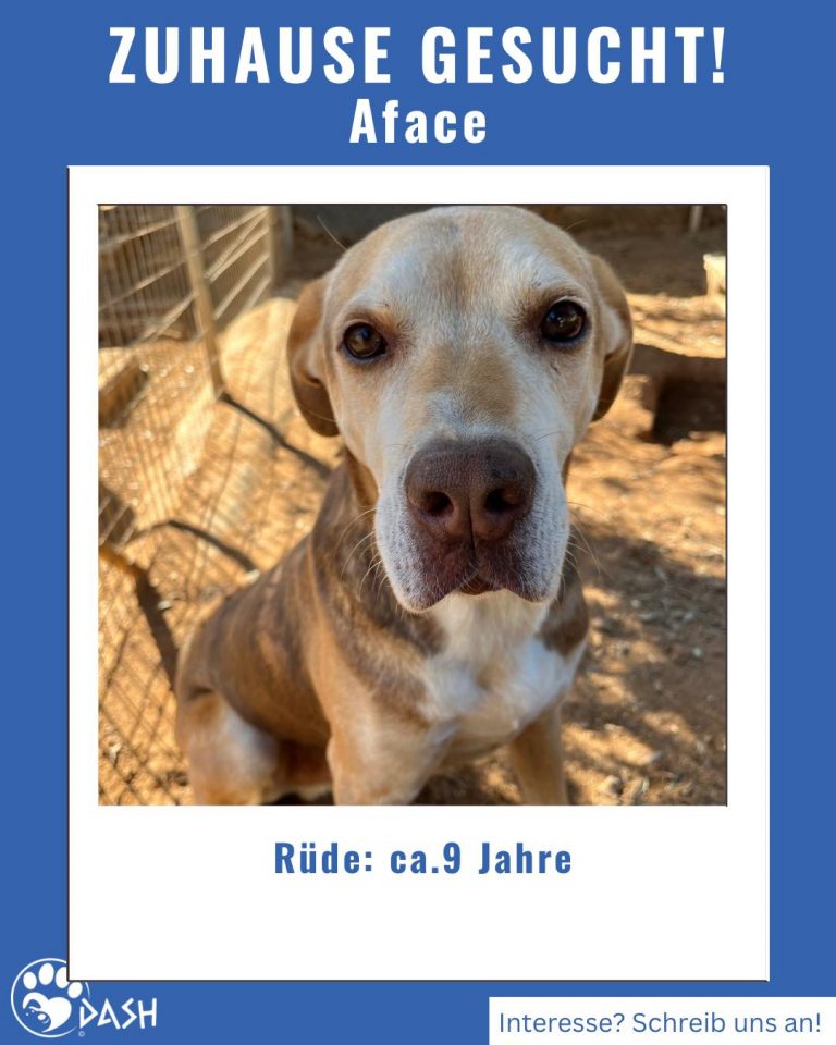 586650782_1283899877112629_695075671697483683_n