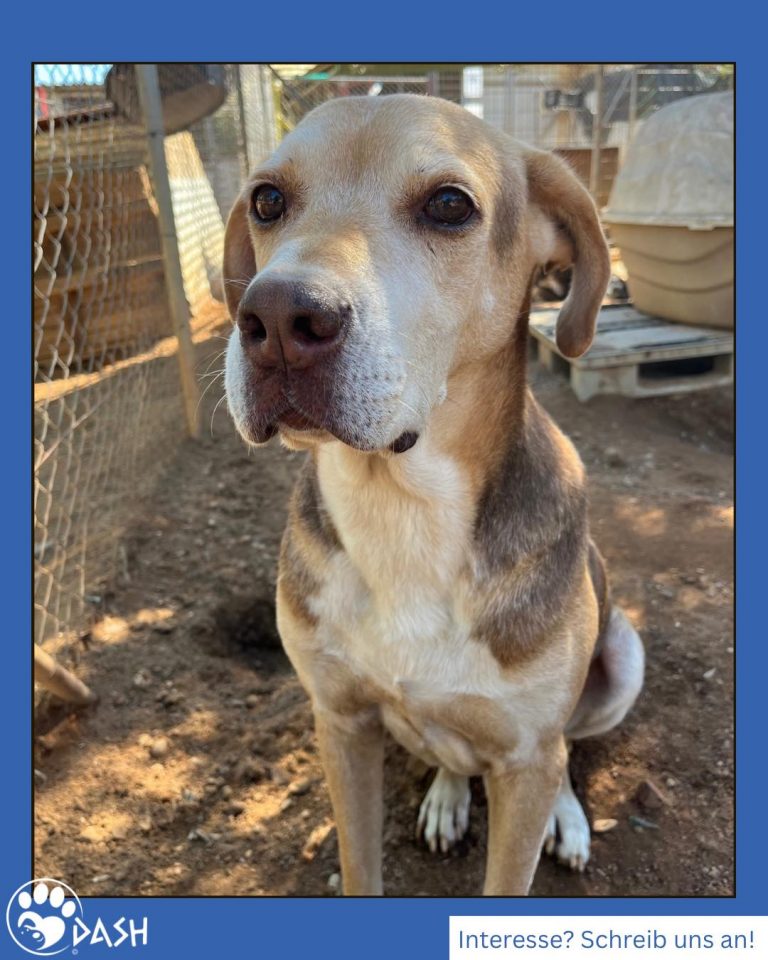 587817505_1283899887112628_3399590055021149003_n