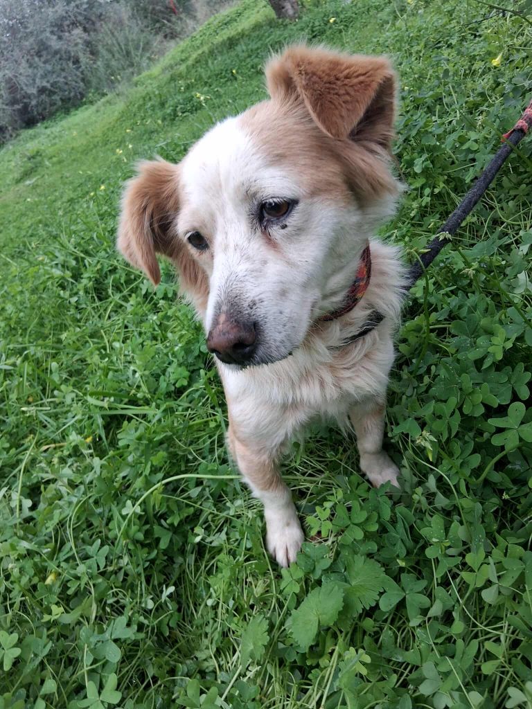 588345102_822662617212993_1598942156349426831_n