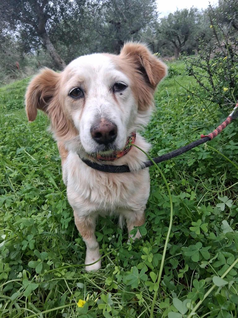 588437023_825977553406293_7383479307921994007_n