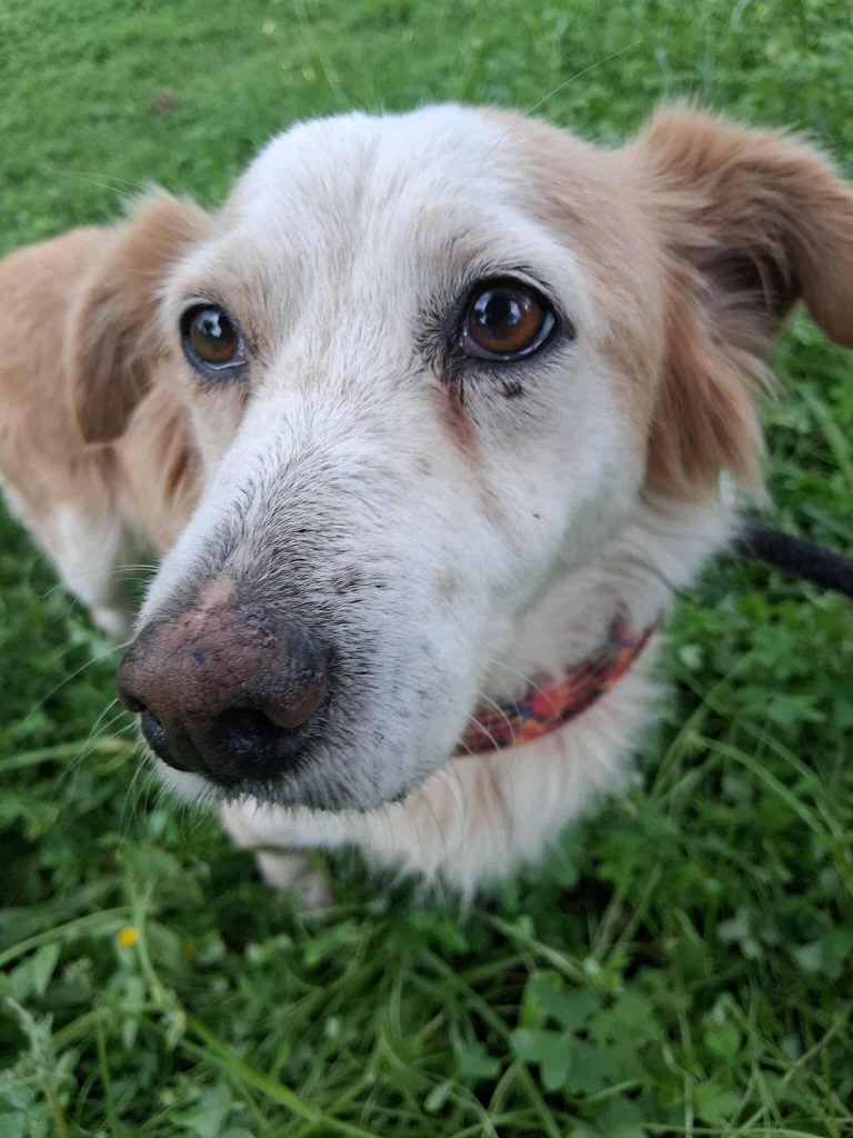 588561266_1259792452615140_1164937893599236753_n