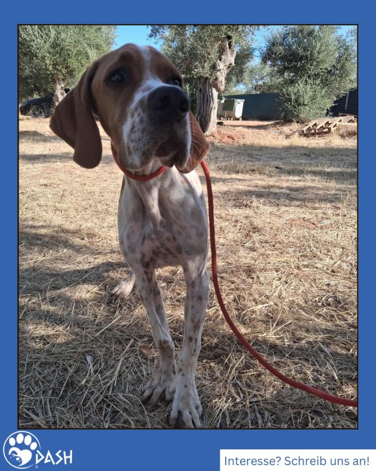 588573704_1286537946848822_3794195971474105623_n