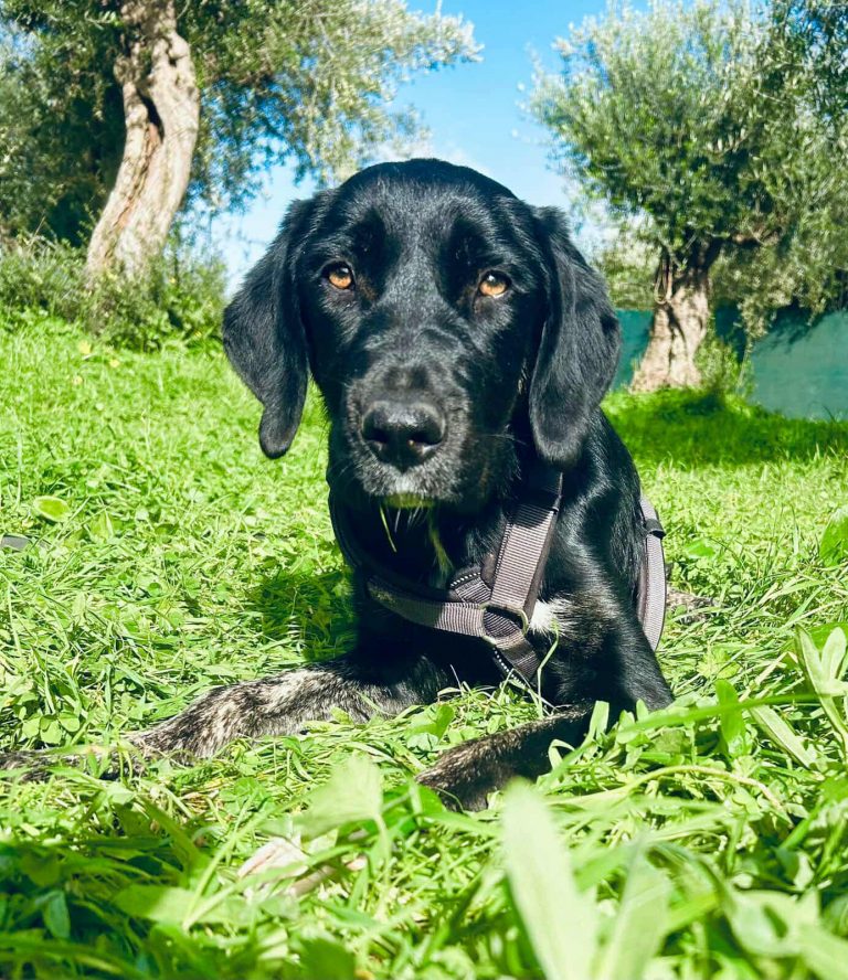 588591570_1967609534086970_8819920020612903381_n