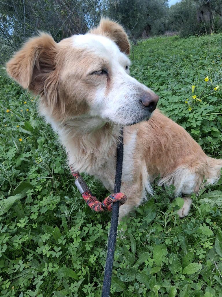 588622318_4231575197084860_7616641638225213870_n