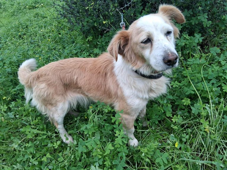 588649818_25365426386410623_5634312517593986154_n