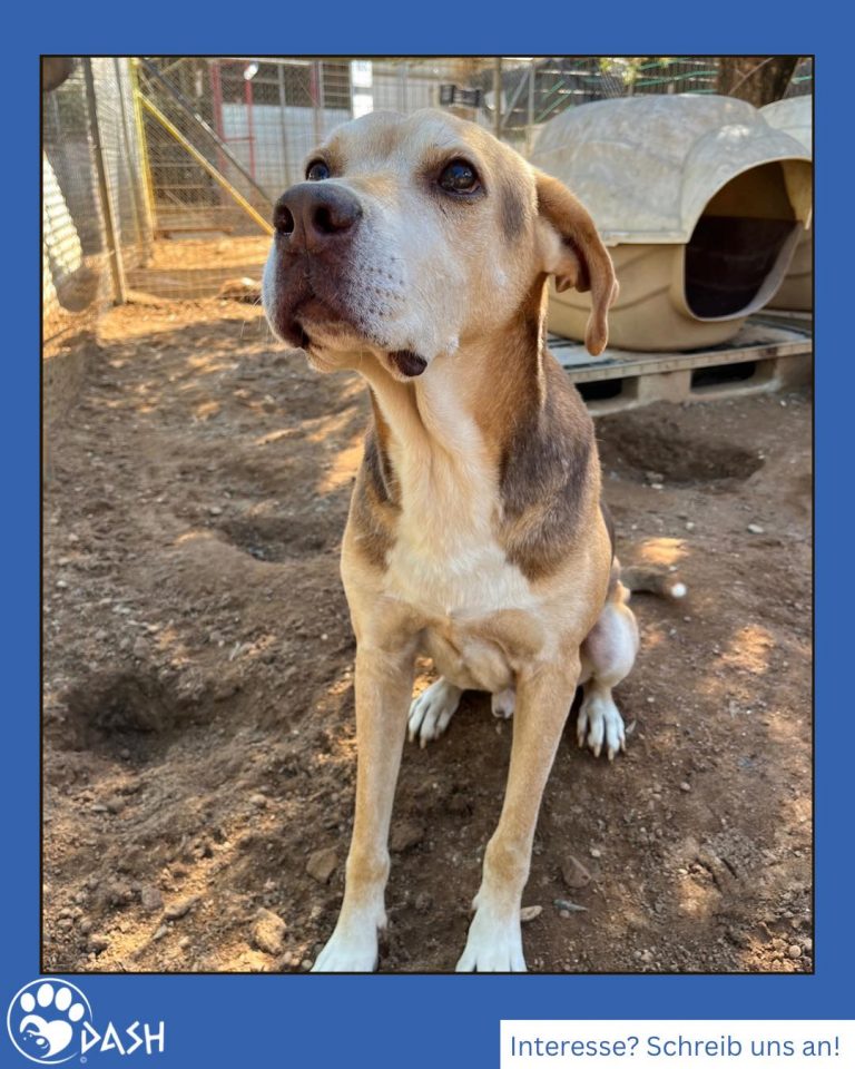 588715126_1283899880445962_356445193444347380_n