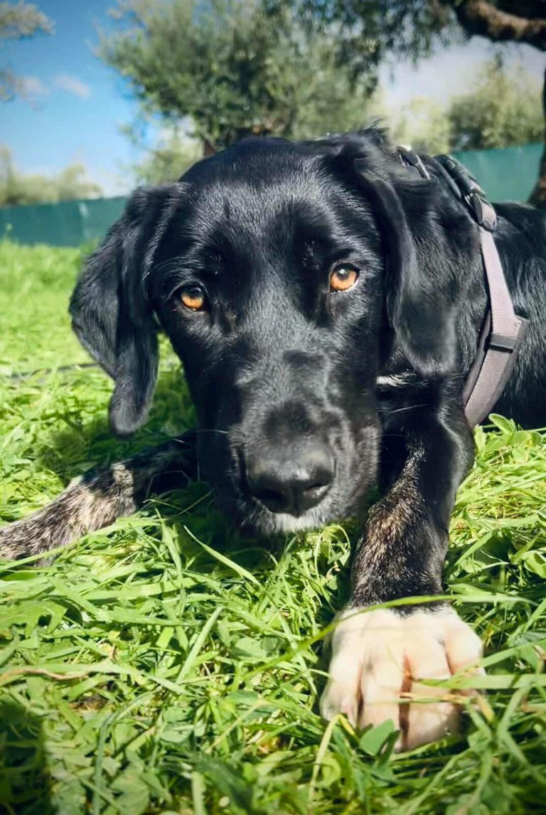 588726057_2410562529378693_1828092537407926612_n