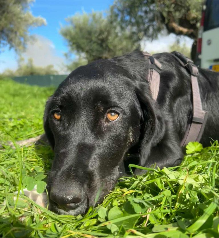 588746568_741118848301992_4206685870541506972_n