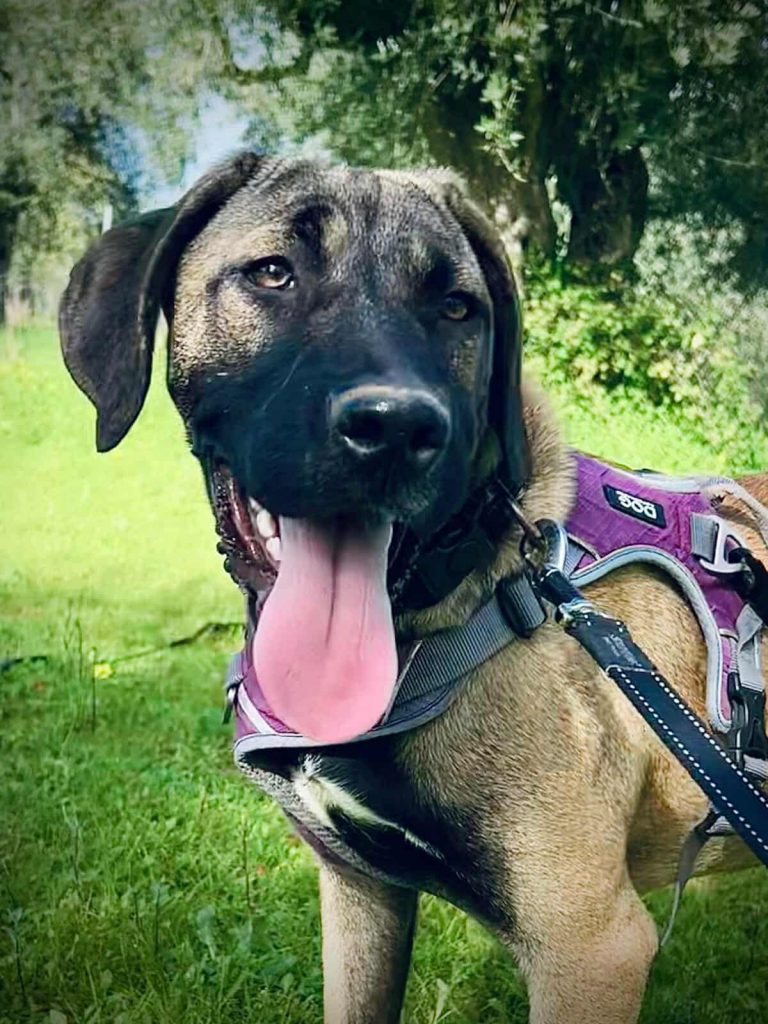 588817656_836400002693642_2359051297234592846_n