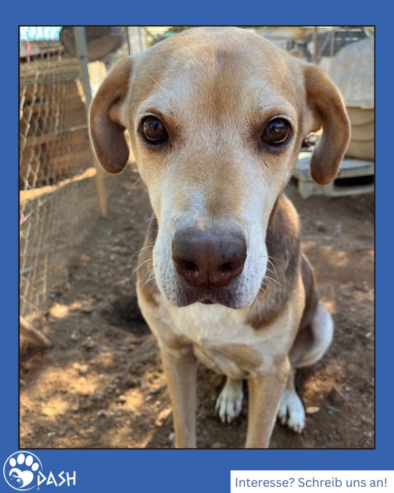 588847765_1283899883779295_7056090630420475509_n