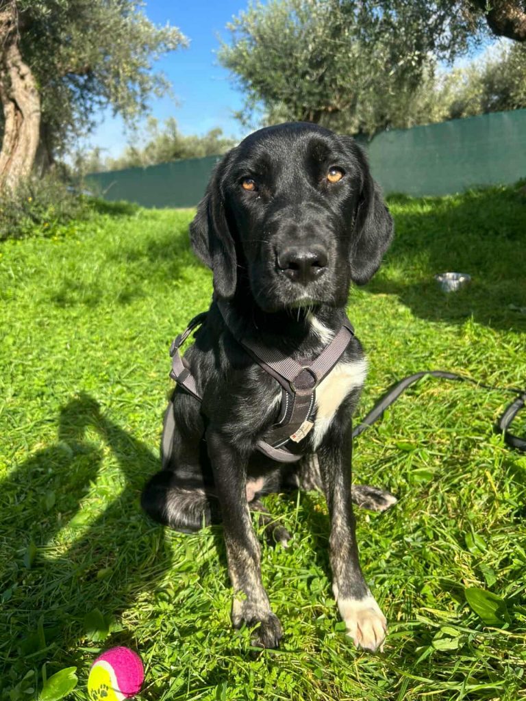 589286020_1641510847255992_3880674864482135819_n