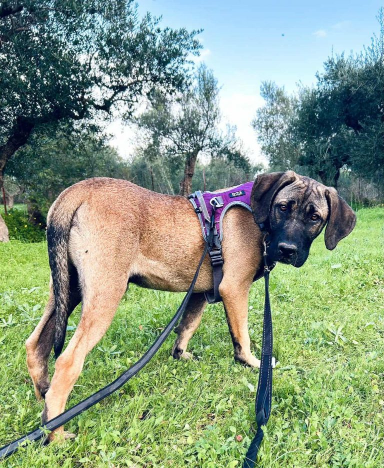 589360024_1116423073902459_4072120881876769257_n