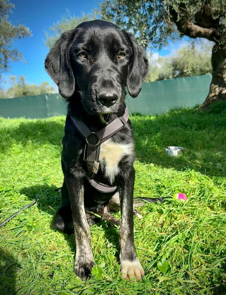 589688347_24446430971696752_6942261643901753933_n