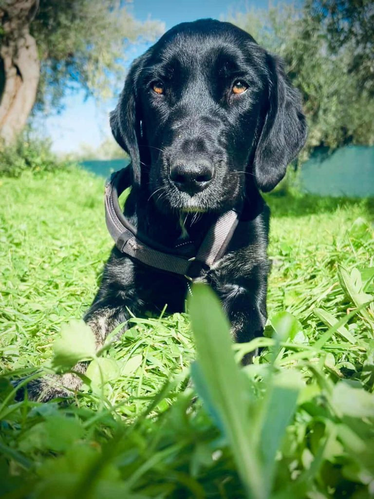 589762017_1374471704401810_6316375093230034299_n