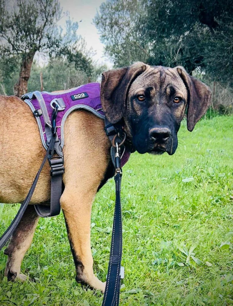 589762351_851331924143614_1370130071704842119_n