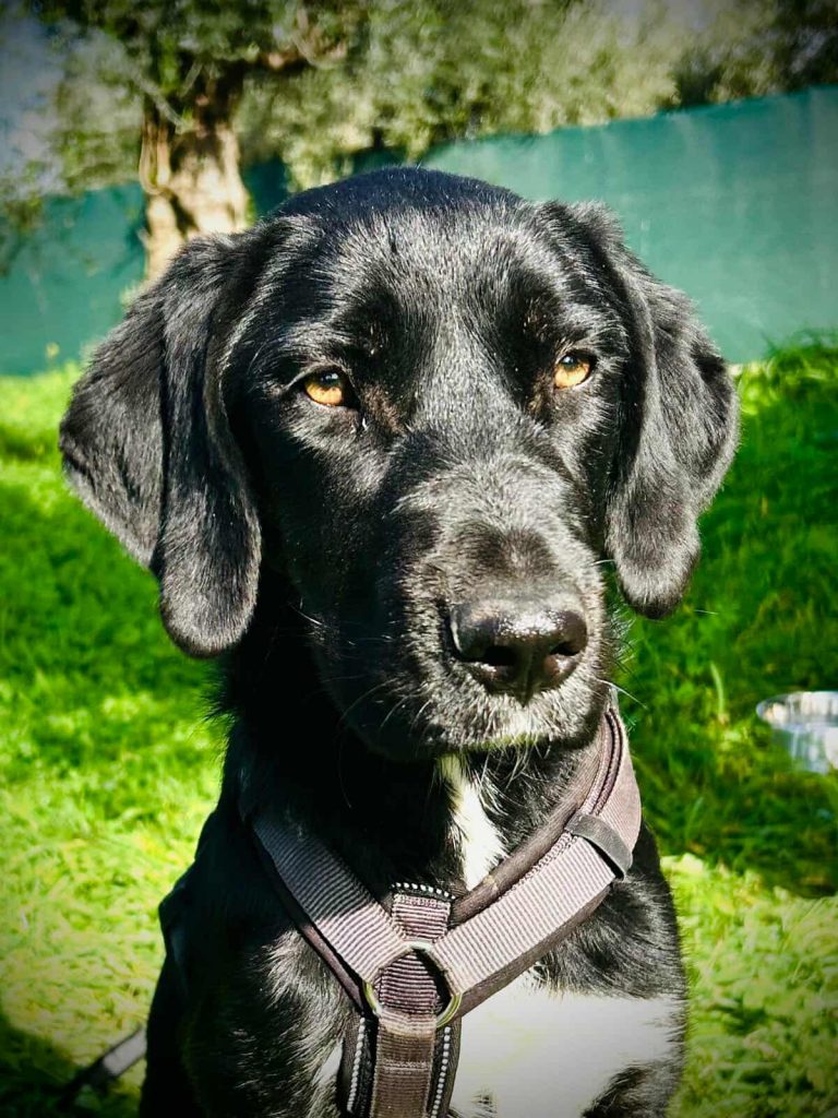 589788290_1259538122859600_8509646335205162536_n