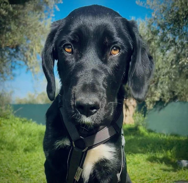 589837400_829689383246098_5375709997782923634_n