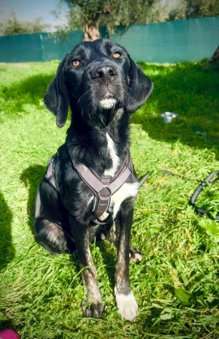 589907173_691253120724910_3998214942636121744_n