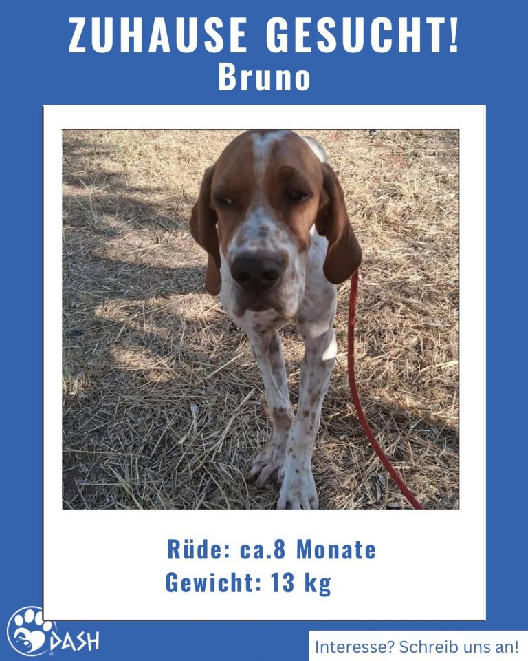 589934723_1286537890182161_3302269539280478599_n