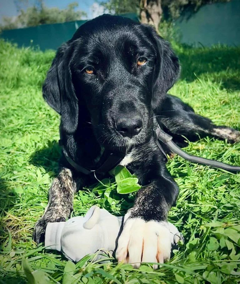 589947551_631706823364266_2228053898998486324_n