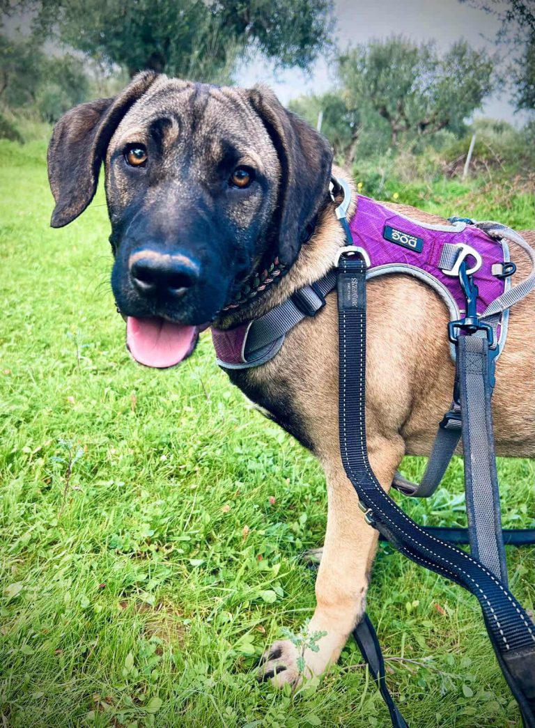 590174013_2877110945816555_1675078639686858707_n