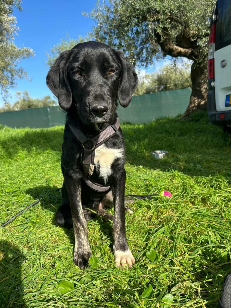 590176662_1534785324532315_4549864455702073620_n