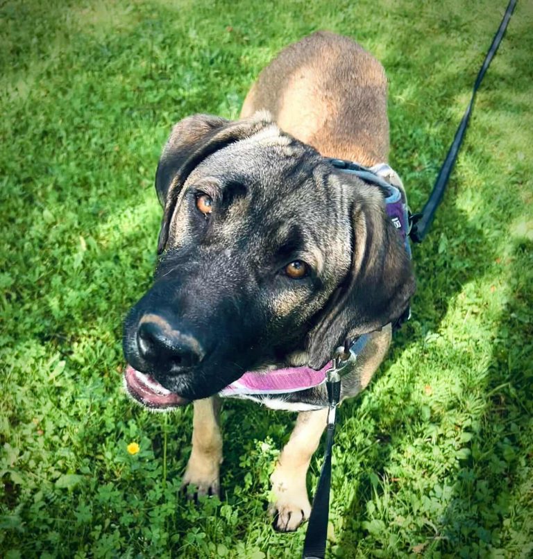 590230747_1629319294704862_8307131315291875670_n