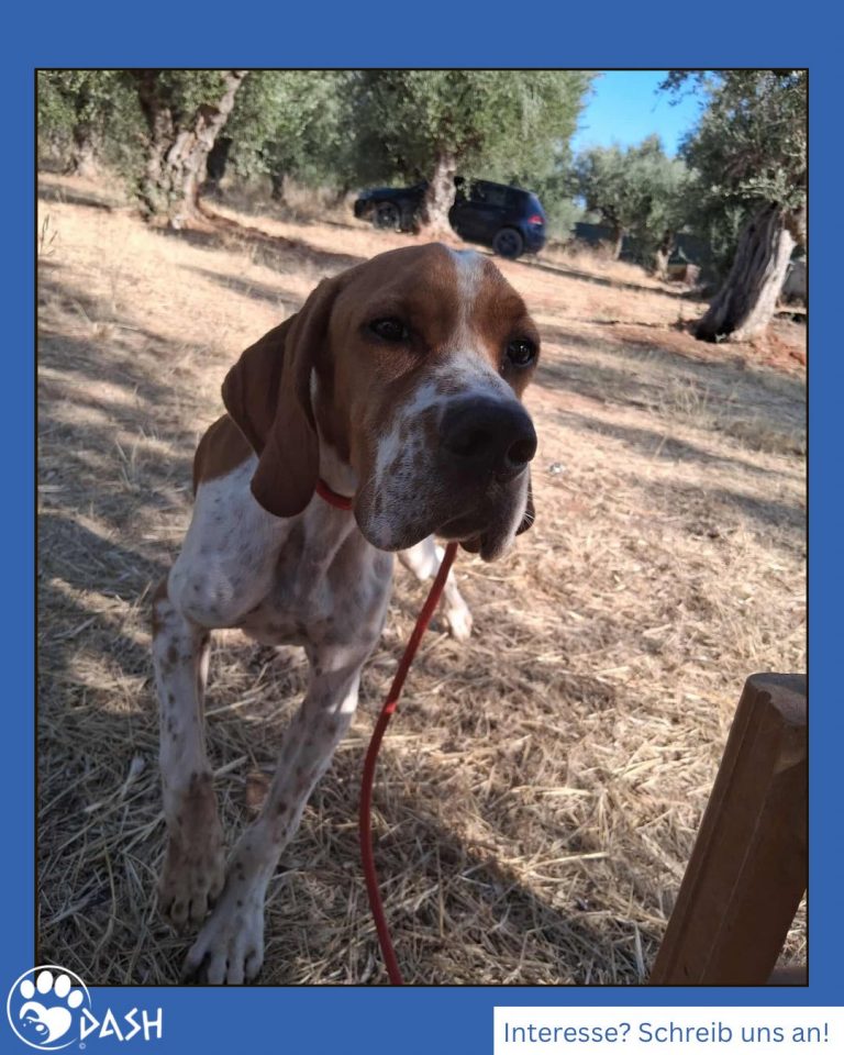 590288072_1286537896848827_5421616767883272407_n