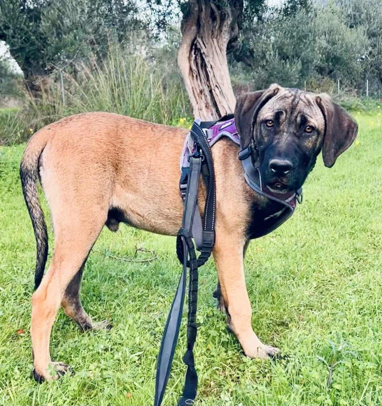 590487982_1209164177733286_810477743148052355_n