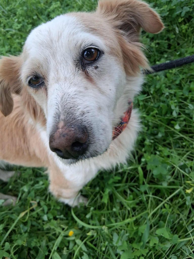 591131834_4191509331122414_1049455579162566389_n