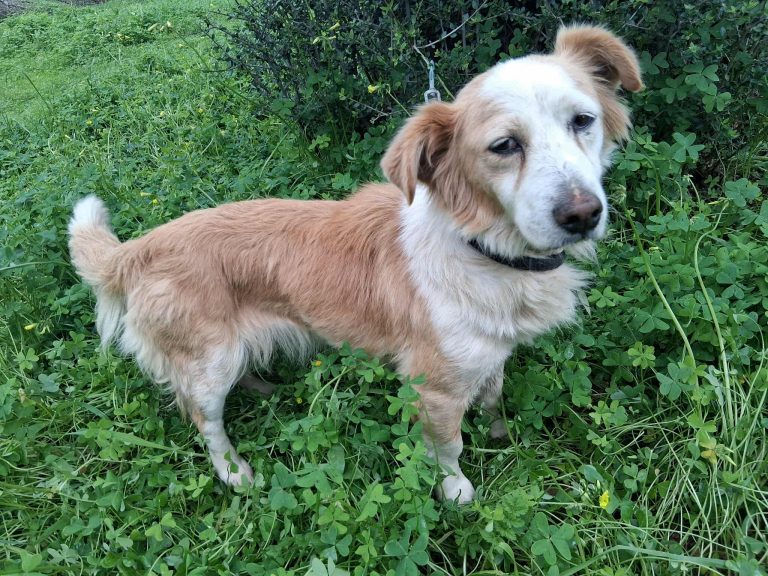 591448730_25347506404880434_3695900588433068526_n