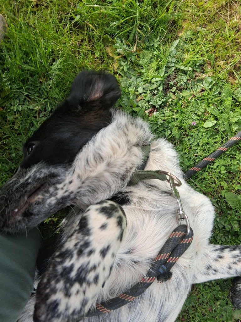 597145382_712770908569959_4652200856108412446_n