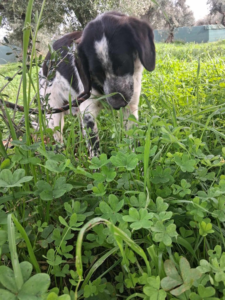 597153397_1545122886686664_5724754447584424852_n