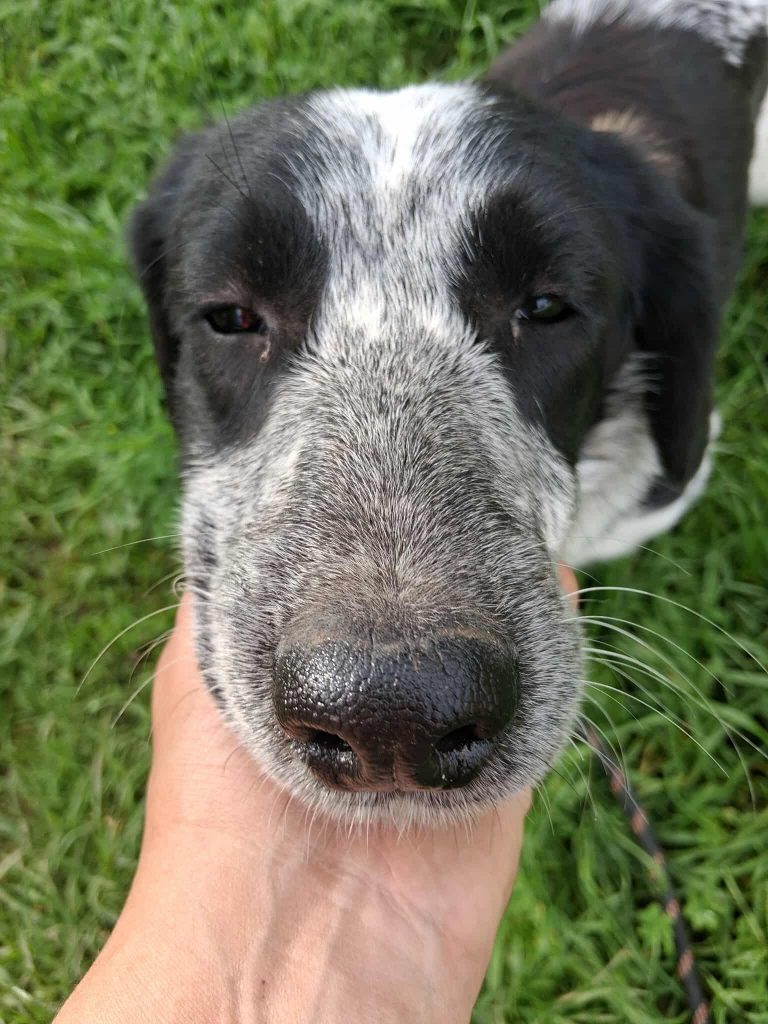 597160270_1357819045472161_1614545122466296575_n