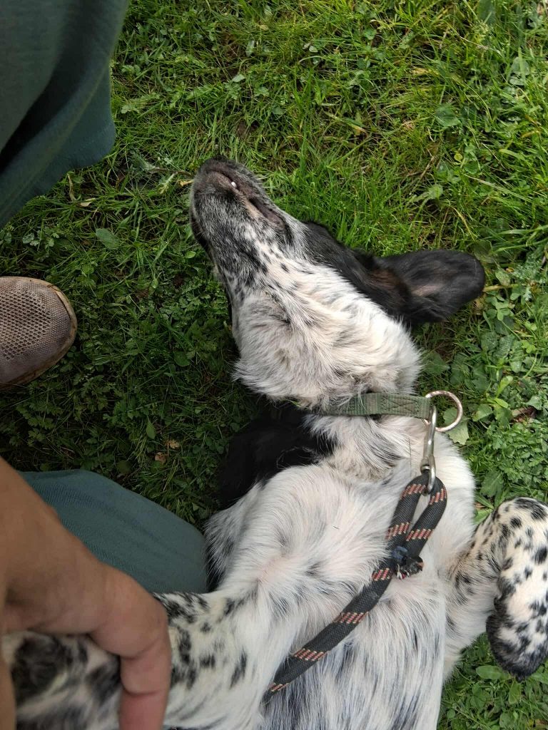 597181661_1349012743684323_6390185977376583603_n